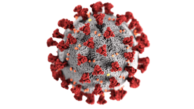 COVID-19s Effect on Employment